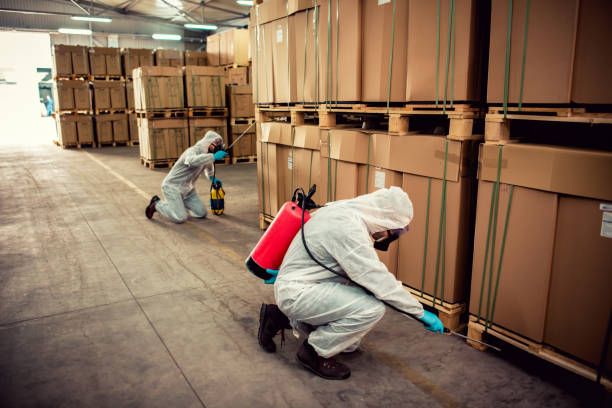 Best Local Pest Control Services  in Fort Wayne, IN