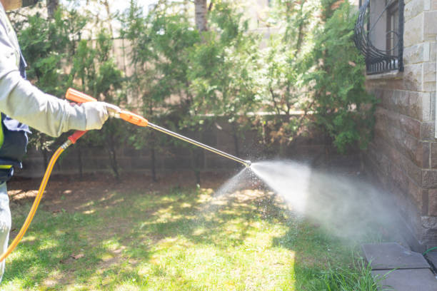 Best Wasp Removal Services  in Fort Wayne, IN