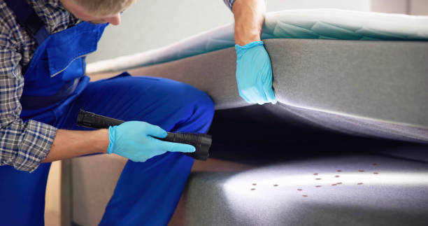 Best Wasp Removal Services  in Fort Wayne, IN