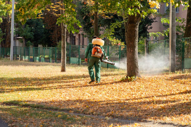 Best Wildlife Control Services  in Fort Wayne, IN