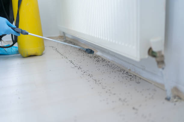 Best Pest Prevention Services  in Fort Wayne, IN