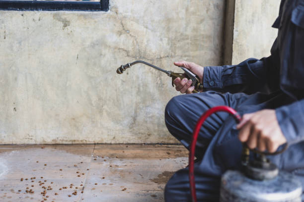 Best Exterminator Services  in Fort Wayne, IN