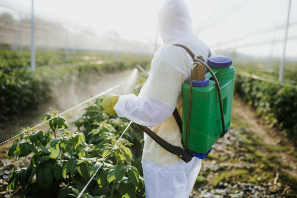 Best Pest Control Near Me  in Fort Wayne, IN